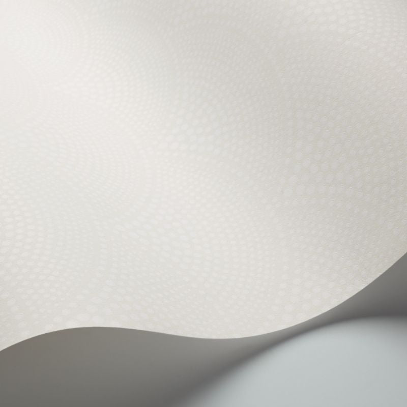 Cole and Son Feather Fan 89/4015