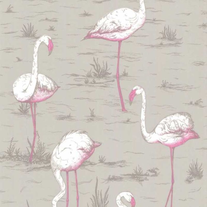 Cole and Son Flamingos 66/6042