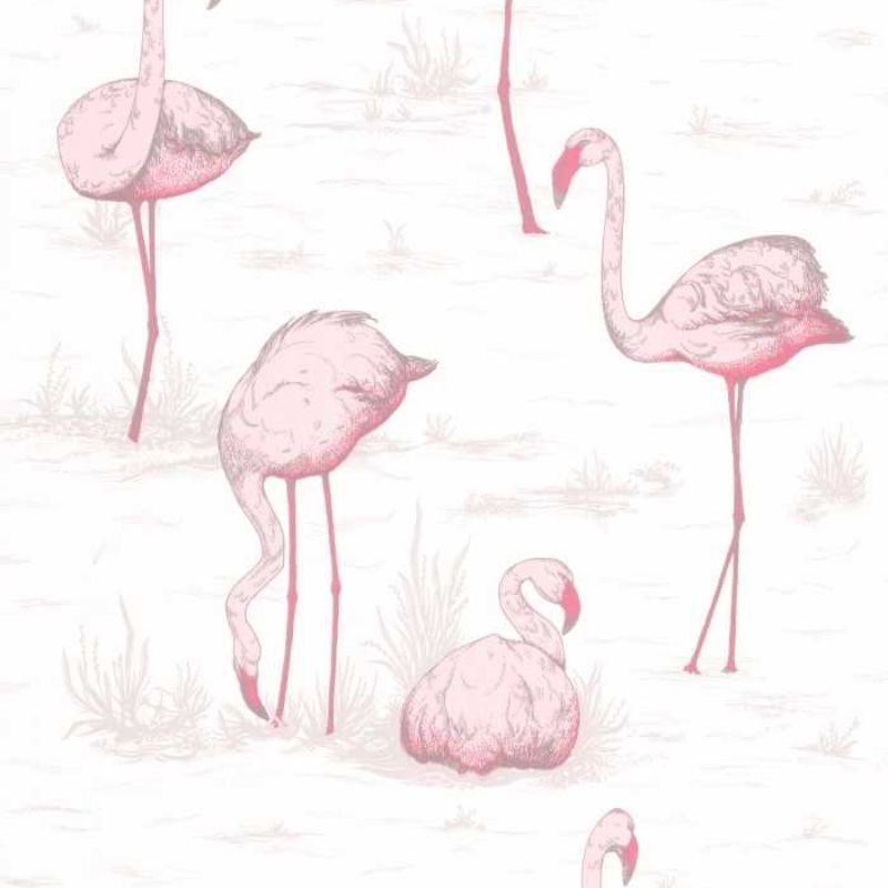 Cole and Son Flamingos 95/8045