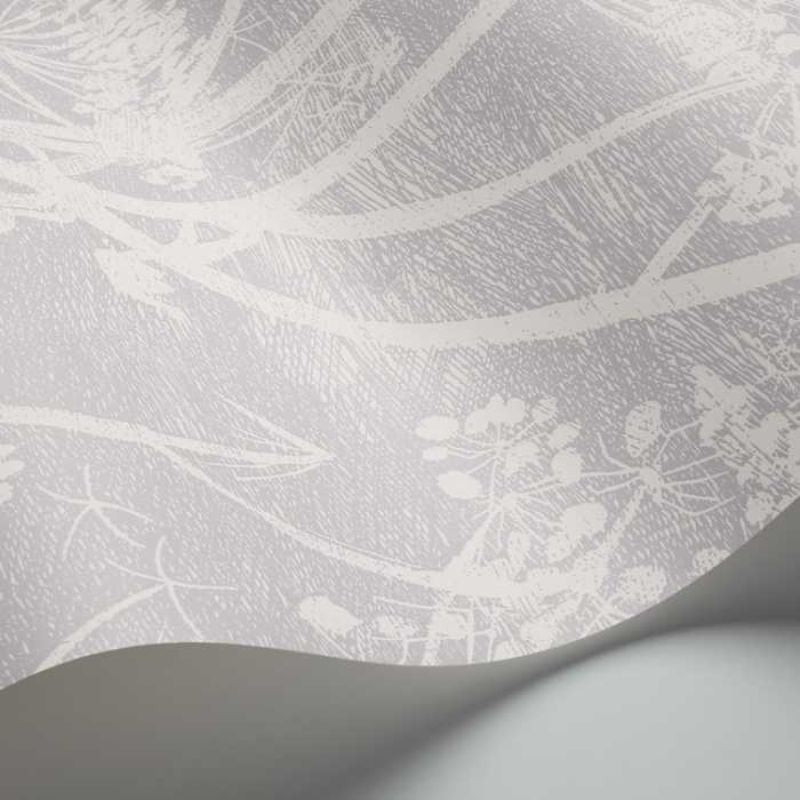 Cole and Son Cow Parsley 95/9049