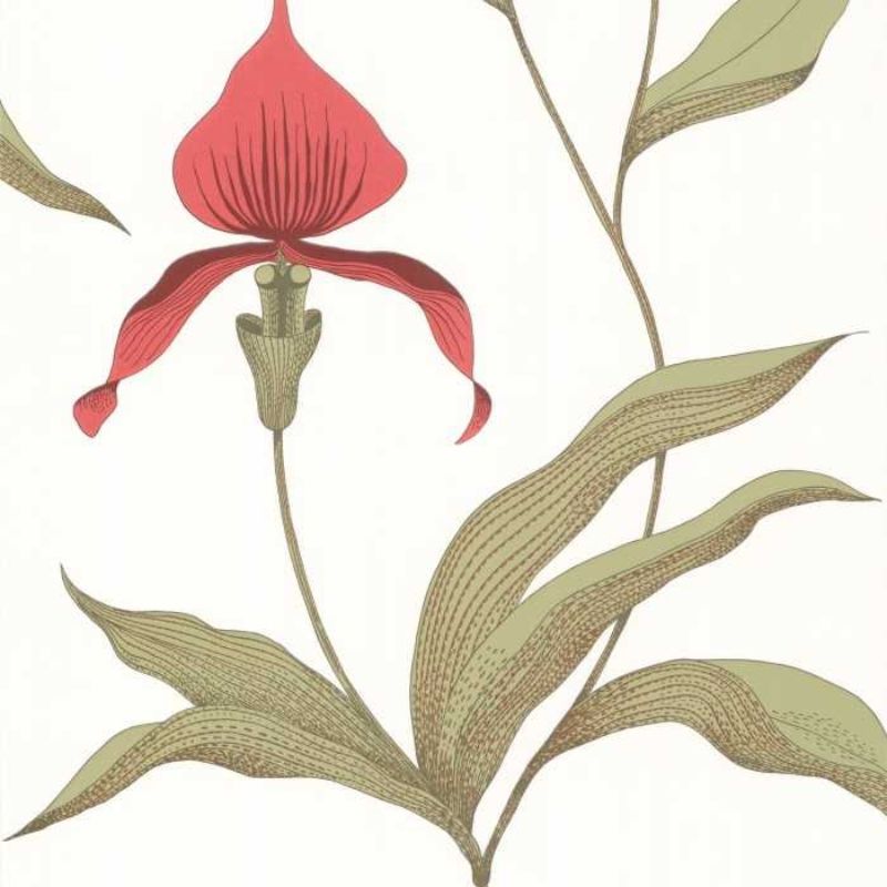 Cole and Son Orchid 95/10054