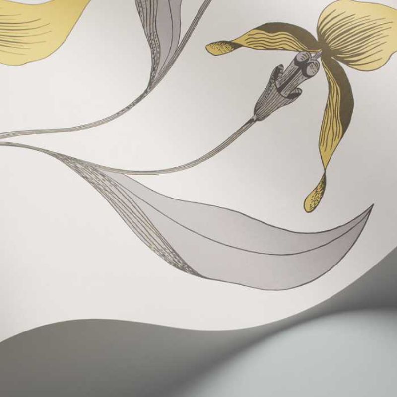 Cole and Son Orchid 95/10057