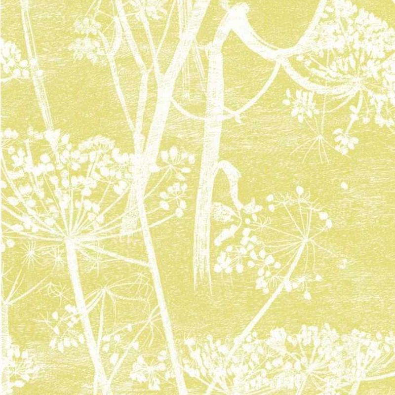 Cole and Son Cow Parsley 66/7051