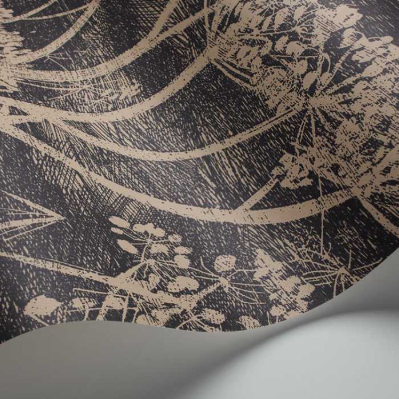 Cole and Son Cow Parsley 66/7048