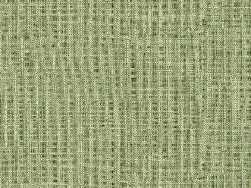Arte Nongo- Olive