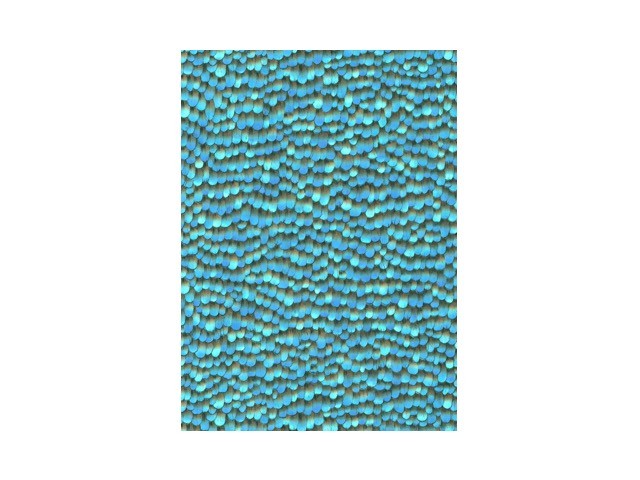 Verenbehang blauw