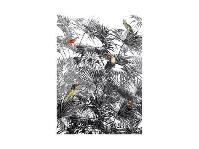 Behang palmbladeren zwart & wit
