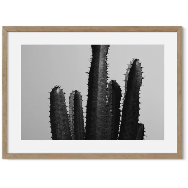 Cactus poster 2