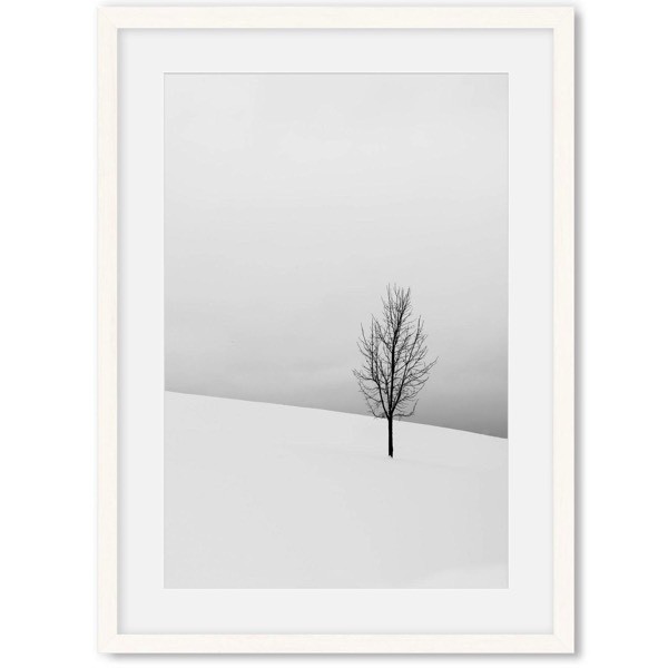 Poster boom in de sneeuw