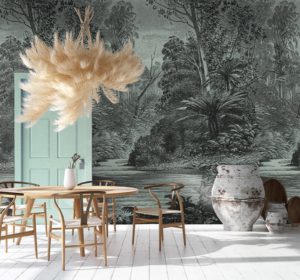 Zwart & wit regenwoud