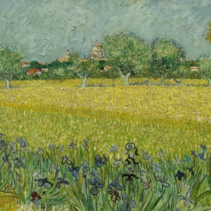 Van Gogh behang veld met irissen BNWALLS 30543