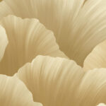 Hooked On Walls Ginkgo 21903 behang