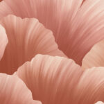 Hooked On Walls Ginkgo 21904 behang