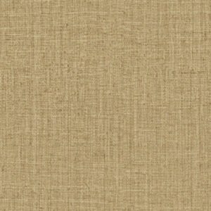 Arte PEERLESs INt243 Intuition behang