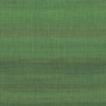 Hooked On Walls Tribu 29370