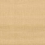 Hooked On Walls Tribu 29371