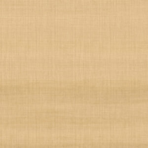 Hooked On Walls Tribu 29371