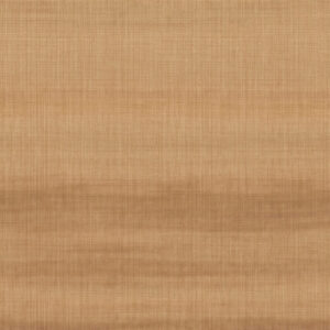 Hooked On Walls Tribu 29372